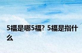 5福是哪5福? 5福是指什么