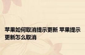 苹果如何取消提示更新 苹果提示更新怎么取消