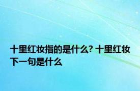 十里红妆指的是什么? 十里红妆下一句是什么