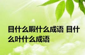 目什么睱什么成语 目什么叶什么成语