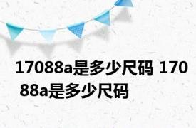 17088a是多少尺码 170 88a是多少尺码