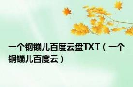 一个钢镚儿百度云盘TXT（一个钢镚儿百度云）