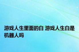 游戏人生里面的白 游戏人生白是机器人吗