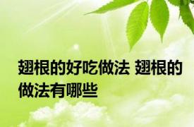 翅根的好吃做法 翅根的做法有哪些