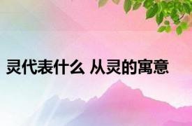 灵代表什么 从灵的寓意