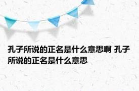 孔子所说的正名是什么意思啊 孔子所说的正名是什么意思