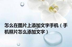 怎么在图片上添加文字手机（手机照片怎么添加文字）