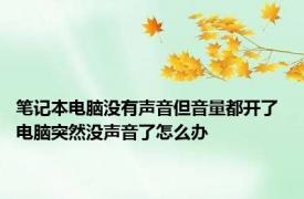 笔记本电脑没有声音但音量都开了 电脑突然没声音了怎么办 