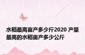 水稻最高亩产多少斤2020 产量最高的水稻亩产多少公斤