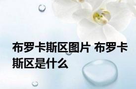 布罗卡斯区图片 布罗卡斯区是什么