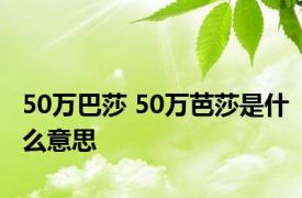 50万巴莎 50万芭莎是什么意思