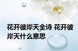 花开彼岸天全诗 花开彼岸天什么意思