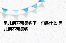 男儿何不带吴钩下一句是什么 男儿何不带吴钩