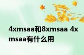 4xmsaa和8xmsaa 4xmsaa有什么用