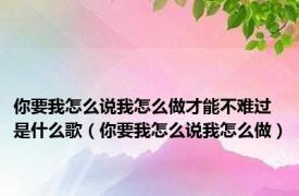 你要我怎么说我怎么做才能不难过是什么歌（你要我怎么说我怎么做）