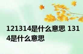 121314是什么意思 1314是什么意思