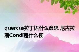 quercus拉丁语什么意思 尼古拉斯Condi是什么梗