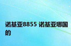 诺基亚8855 诺基亚哪国的