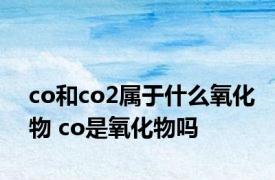 co和co2属于什么氧化物 co是氧化物吗