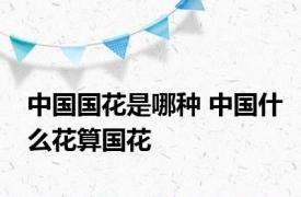 中国国花是哪种 中国什么花算国花