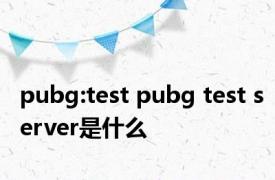 pubg:test pubg test server是什么