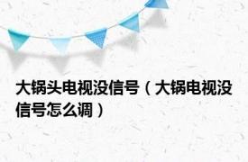 大锅头电视没信号（大锅电视没信号怎么调）