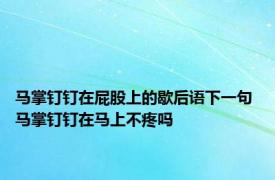 马掌钉钉在屁股上的歇后语下一句 马掌钉钉在马上不疼吗