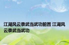 江湖风云录武当武功前置 江湖风云录武当武功 