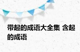 带起的成语大全集 含起的成语