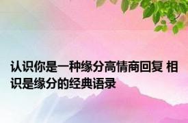 认识你是一种缘分高情商回复 相识是缘分的经典语录