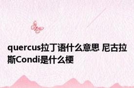 quercus拉丁语什么意思 尼古拉斯Condi是什么梗