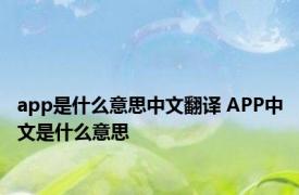 app是什么意思中文翻译 APP中文是什么意思