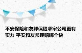 平安保险和友邦保险哪家公司更有实力 平安和友邦理赔哪个快