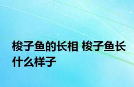 梭子鱼的长相 梭子鱼长什么样子