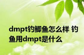 dmpt钓鲫鱼怎么样 钓鱼用dmpt是什么