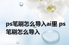 ps笔刷怎么导入ai里 ps笔刷怎么导入