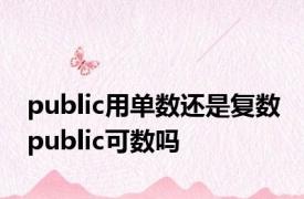 public用单数还是复数 public可数吗