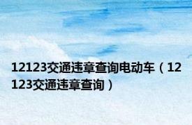 12123交通违章查询电动车（12123交通违章查询）