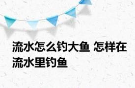 流水怎么钓大鱼 怎样在流水里钓鱼