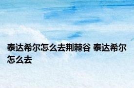 泰达希尔怎么去荆棘谷 泰达希尔怎么去 