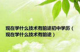 现在学什么技术有前途初中学历（现在学什么技术有前途）