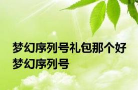 梦幻序列号礼包那个好 梦幻序列号 