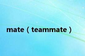 mate（teammate）