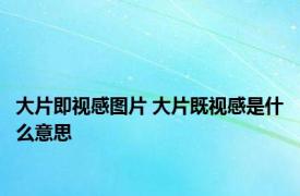 大片即视感图片 大片既视感是什么意思