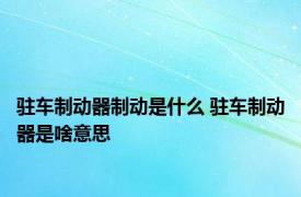 驻车制动器制动是什么 驻车制动器是啥意思