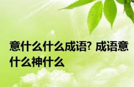 意什么什么成语? 成语意什么神什么