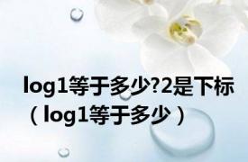 log1等于多少?2是下标（log1等于多少）