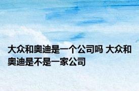 大众和奥迪是一个公司吗 大众和奥迪是不是一家公司