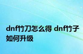 dnf竹刀怎么得 dnf竹子如何升级