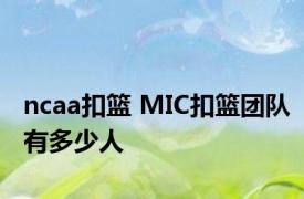 ncaa扣篮 MIC扣篮团队有多少人